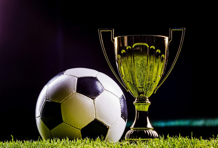 足球的魅力 足球的魅力